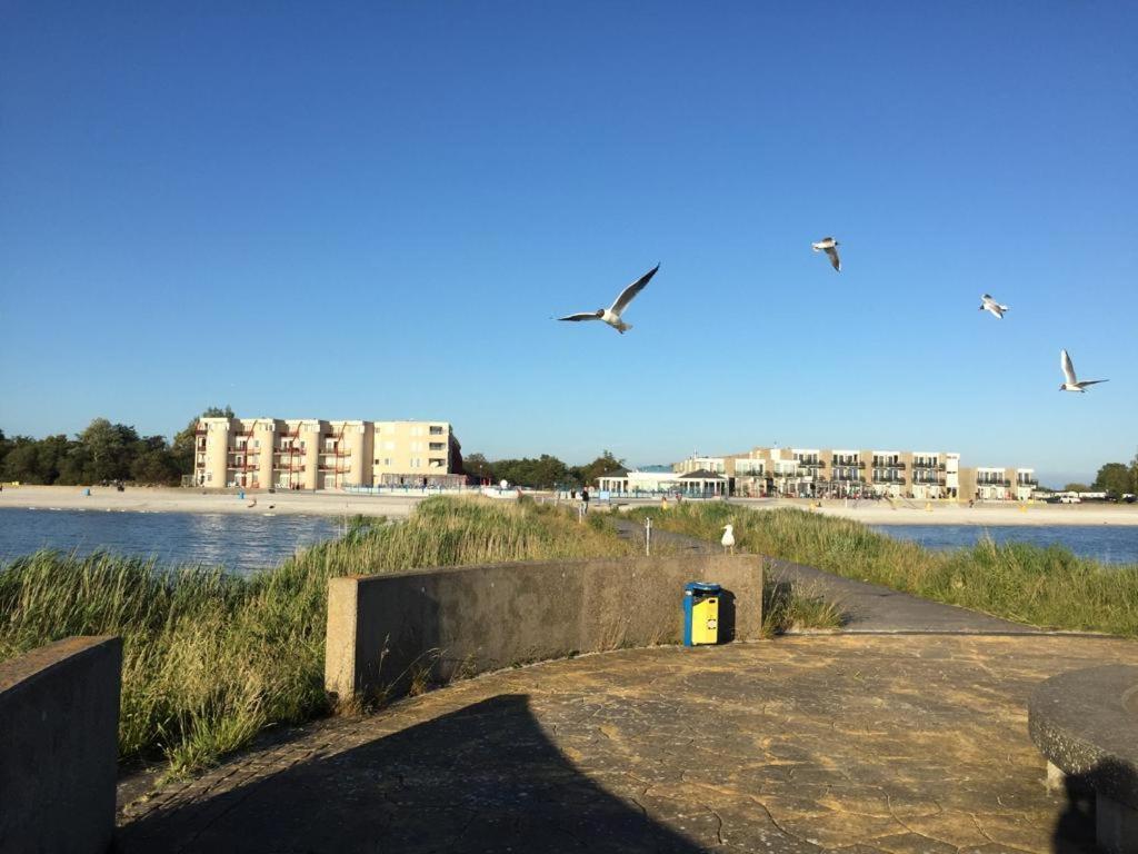 Zuiderzeestate 28 Daire Makkum Dış mekan fotoğraf